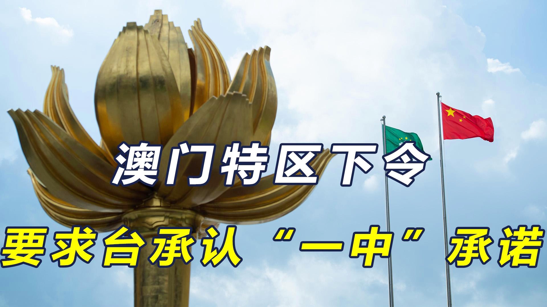 澳门一码一肖一待一中四不，探索与解读，澳门一码一肖一待一中四解密，探索与解读