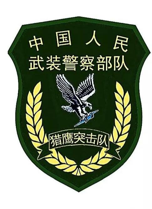 蛟龙突击队臂章矢量图，荣耀的象征与力量的展现，蛟龙突击队臂章矢量图，荣耀与力量的象征