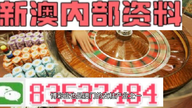 澳门资料大全正版资料，探索与解析（2025版），澳门资料大全正版探索与解析，最新解析报告（2025版）