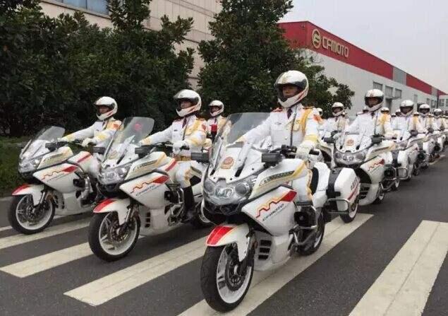 国宾护卫队，荣耀与责任的象征，国宾护卫队，荣耀与责任的独特象征