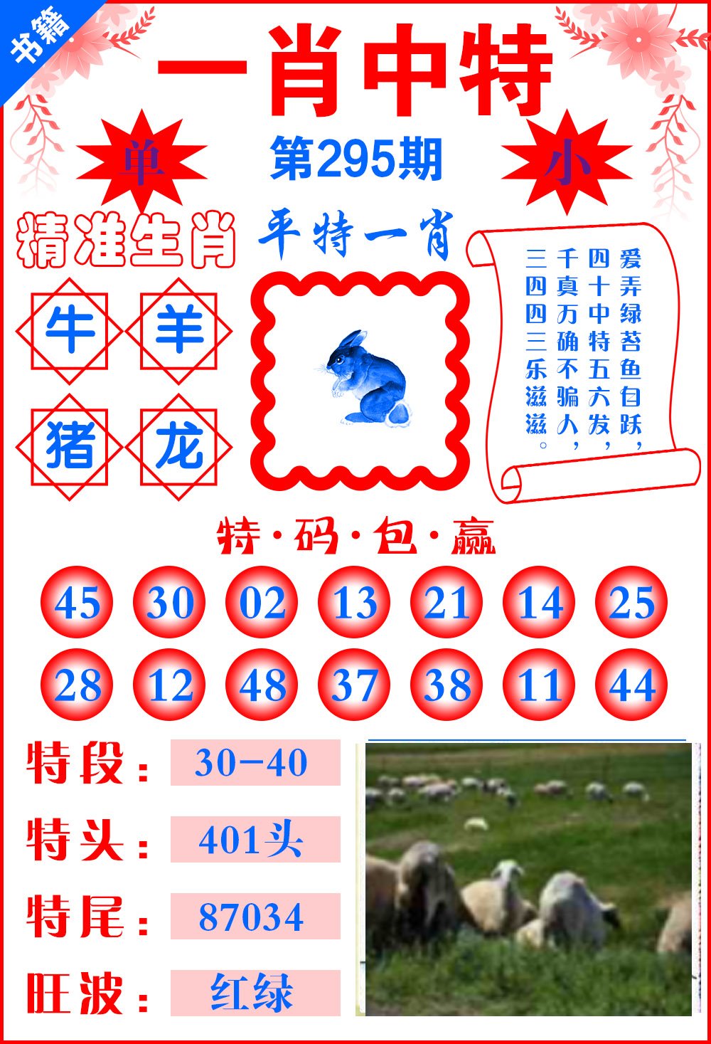 新澳门一肖中特，探索与解读，新澳门一肖中特，解读与探索