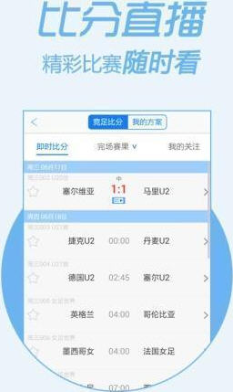王中王一王中王平特一肖，探索卓越之路，王中王一王中王平特一肖，卓越之路的探索