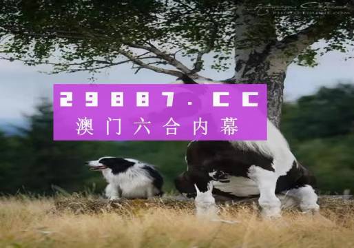 探索新澳门开奖的奥秘，一场数字盛宴的解读与预测（2023年），揭秘新澳门开奖奥秘，数字盛宴解读与预测（2023年）