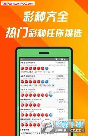 揭秘493333一肖王中王，探寻背后的神秘故事与深层含义，揭秘一肖王中王，背后的神秘故事与深层含义探索