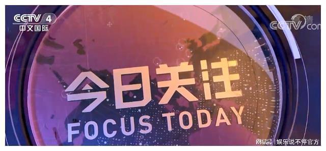 深度解析/解读报告