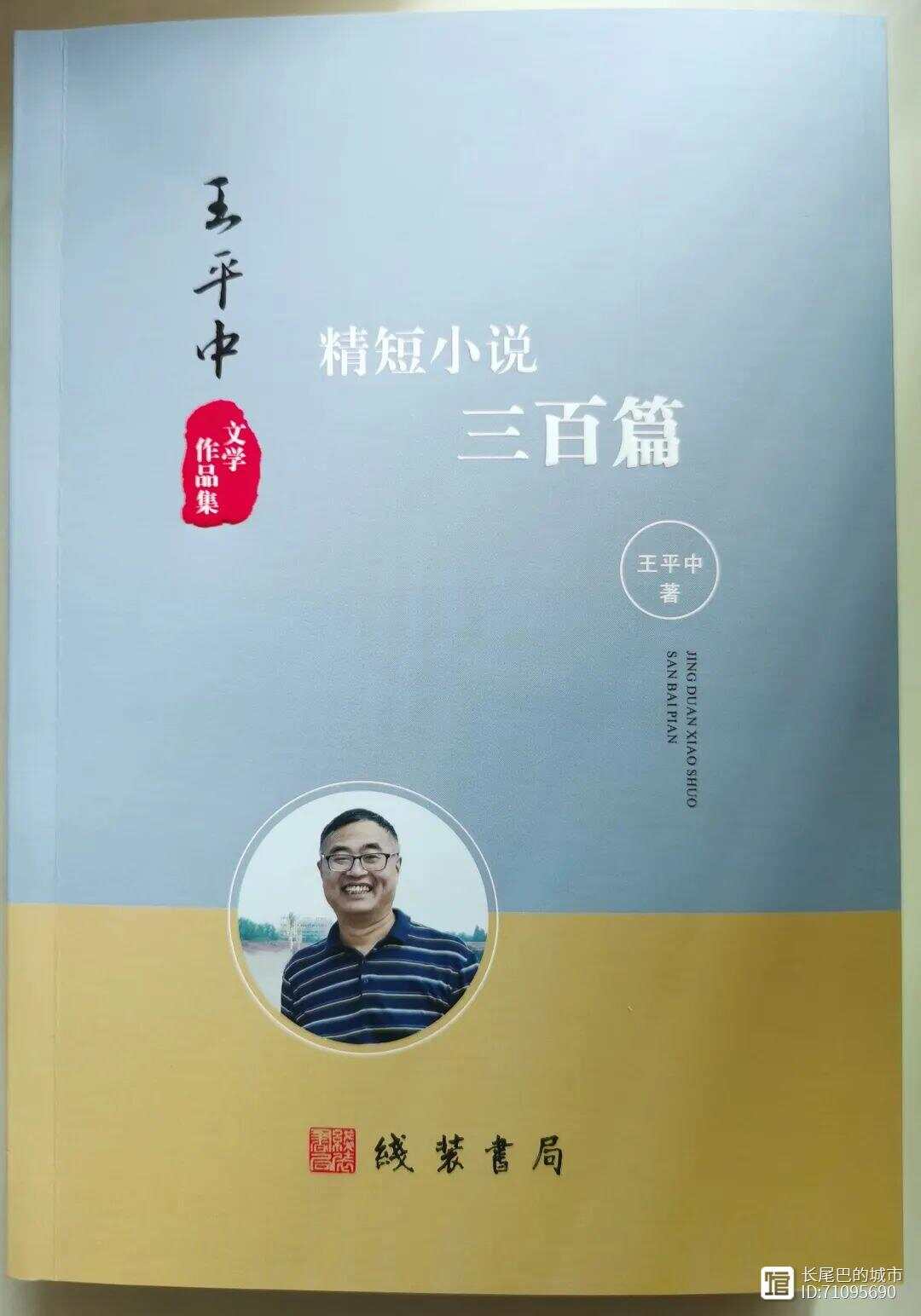 王中王平特一肖心水论沄——探寻成功的秘诀，王中王平特一肖心水论沄，成功秘诀探寻之路