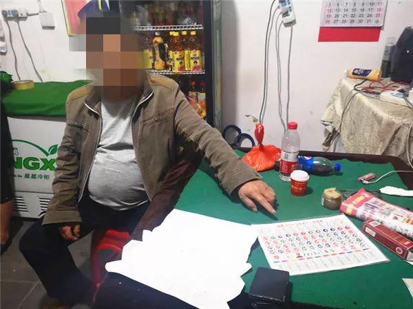 关于六开彩天天免费资料大全的研究与探讨，六开彩天天免费资料大全深度研究与探讨