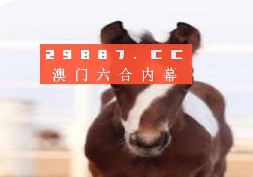 澳门一肖一码，揭秘精准资料的神秘面纱，澳门一肖一码揭秘，精准资料的神秘面纱下探真相