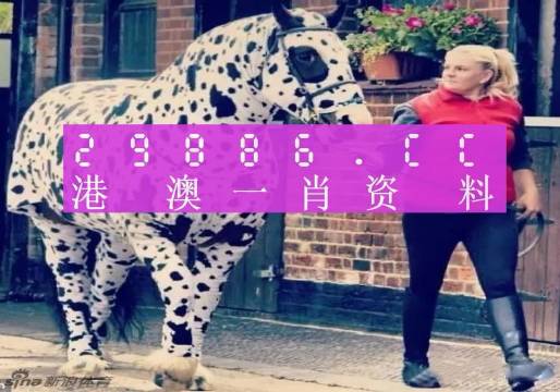 澳门王中王，一肖一特一中与传奇的180数字，澳门王中王，传奇的180数字与一肖一特一中揭秘