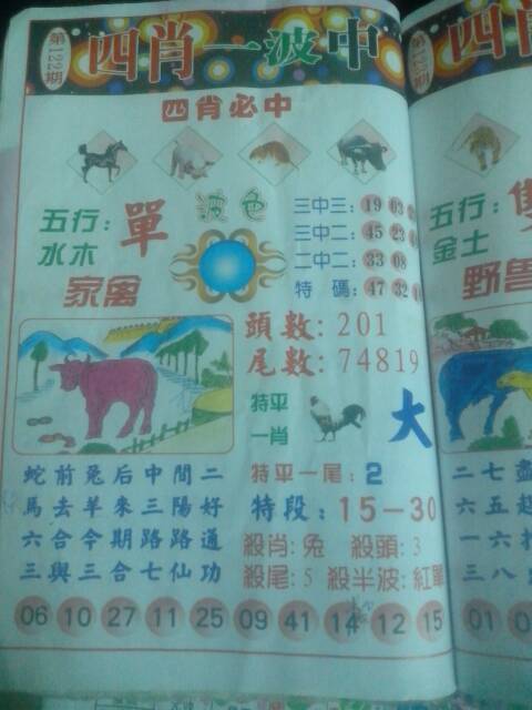 王中王294期指一生肖
