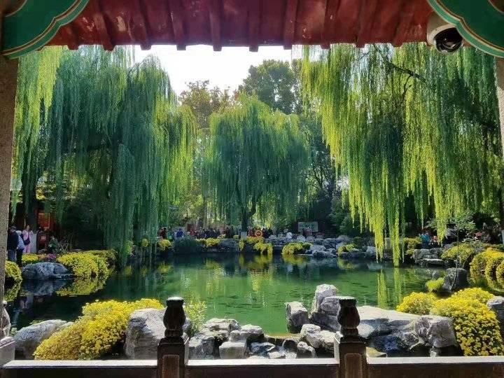 三军仪仗队中的山东小伙，荣耀与担当，山东小伙在三军仪仗队中的荣耀与担当