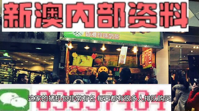 探索未来，2025新澳精准资料大全，探索未来，2025新澳精准资料大全总览