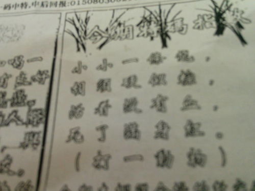 必中刘伯温猜一生肖——探寻神秘预言背后的智慧与玄机，揭秘刘伯温预言，探寻生肖玄机与智慧之路