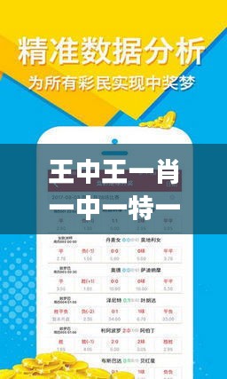 王中王内部玄机一肖，揭秘背后的神秘面纱，揭秘王中王内部玄机与背后神秘面纱