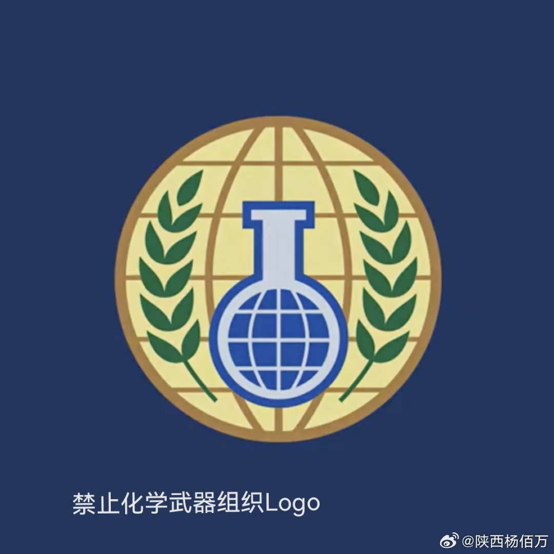 禁止化学武器组织的最高机构，权威与责任，化学武器组织最高机构，权威与责任的重担