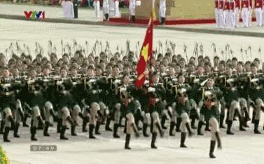 女兵方队阅兵图片，展现力量与荣耀的瞬间，女兵方队阅兵风采，力量与荣耀的展现瞬间