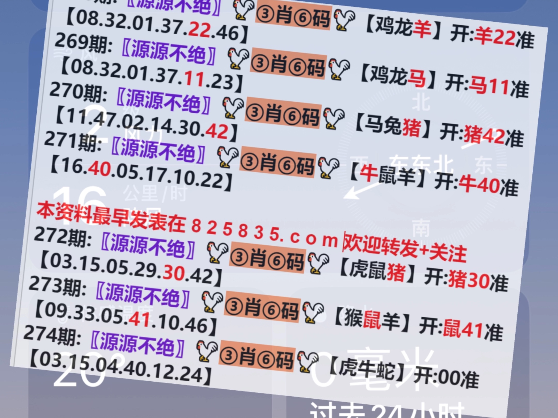 澳门码最快开奖结果