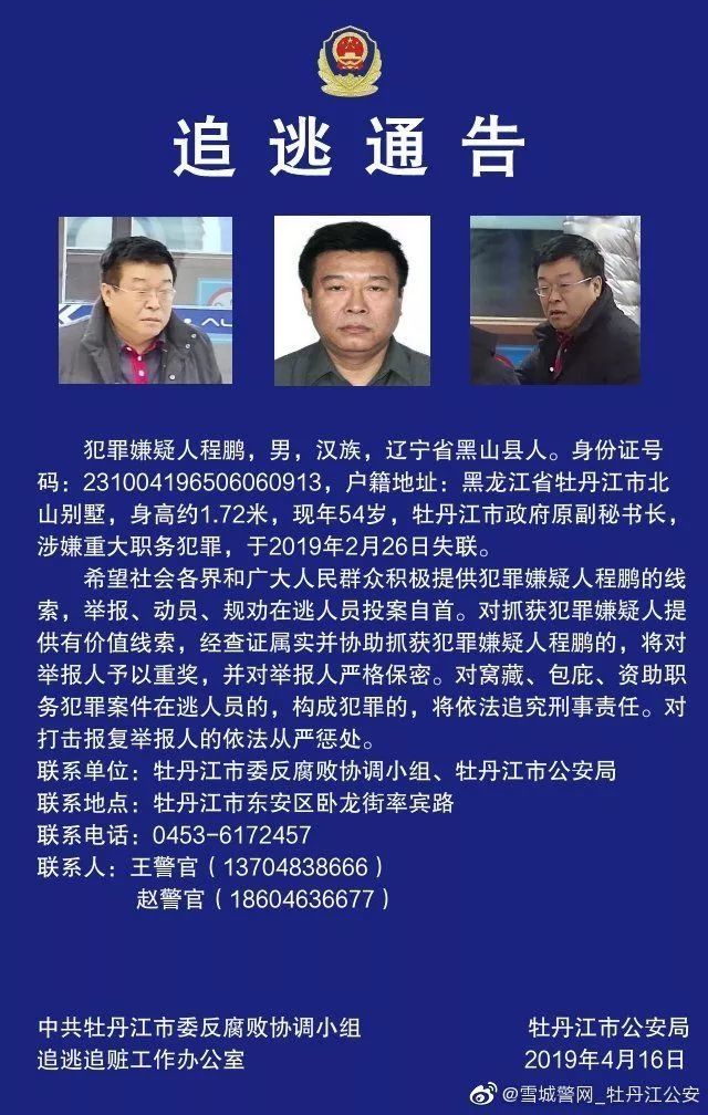 黑龙江省一高官被决定逮捕，揭示背后的故事与深层含义，黑龙江省高官被逮捕，背后的故事与深层含义揭秘