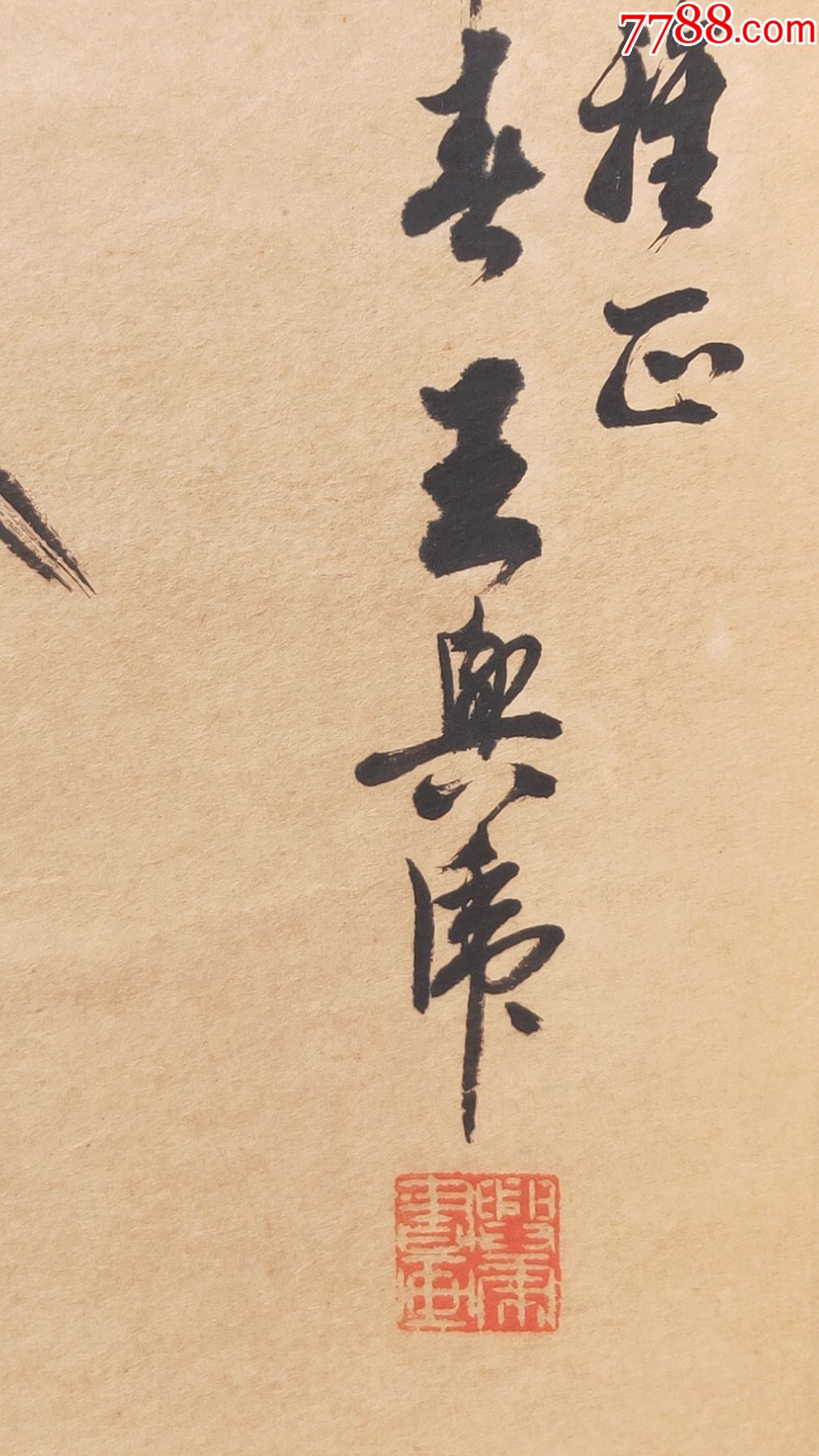 小鱼儿一肖王中王兴典，探索与启示，小鱼儿一肖王中王兴典，深度探索与启示