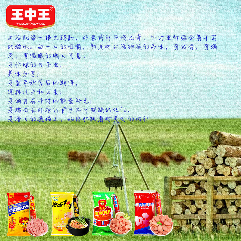 王中王资料提供一肖中特，深度解析与探讨，王中王资料揭秘，一肖中特的深度解析与探讨