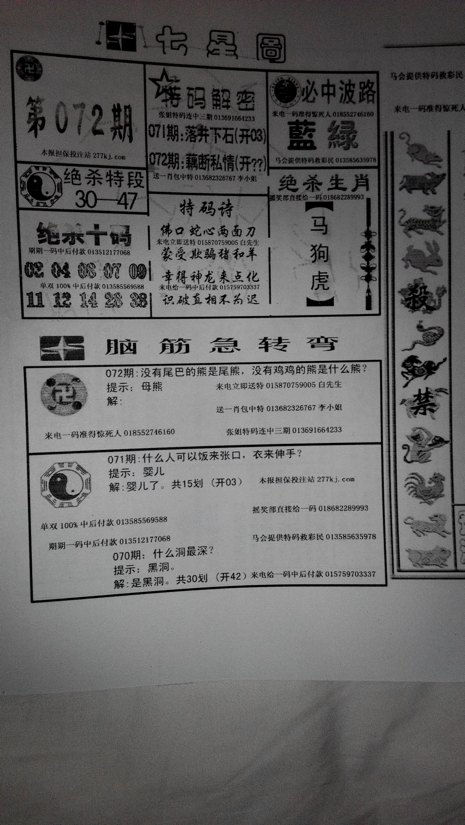 王中王355期指一生肖，探寻生肖文化中的奥秘与魅力，探寻生肖文化魅力，王中王355期指一生肖揭秘