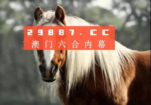 澳门今晚必中一肖一码——探索彩票背后的秘密，澳门彩票秘密探索，必中一肖一码揭秘