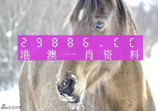 澳门一肖一码与考研，探索准确预测与学术追求的双线交织，澳门一肖一码与考研，预测与学术追求的交织探索
