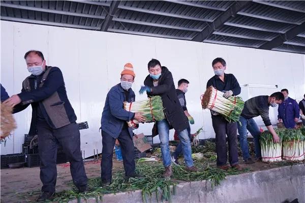战略支援部队招录条件深度解析，战略支援部队招录条件全面解析