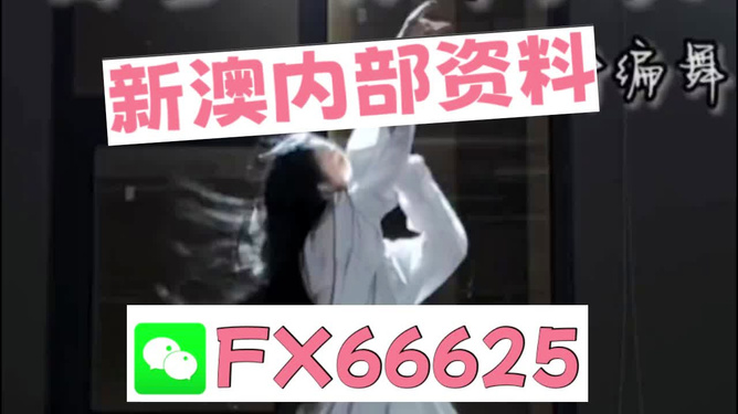 新奥长期免费资料大全，探索与启示，新奥长期免费资料大全，深度探索与启示
