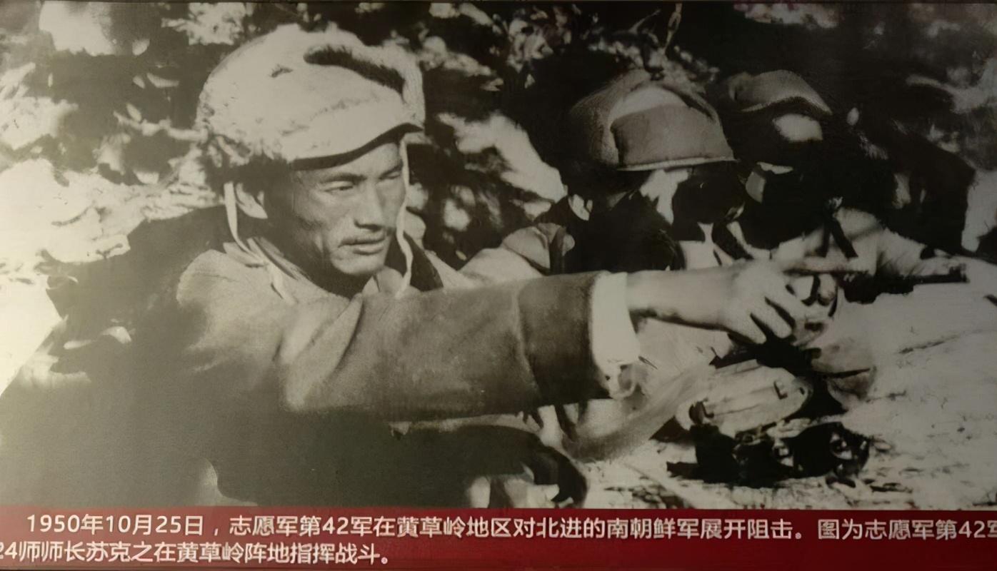 中国人民志愿军的辉煌历史与相关资料，中国人民志愿军辉煌历史概览与资料解析