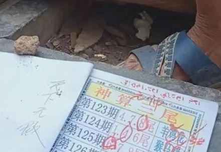 关于六开彩天天免费资料大全的探讨与理解，六开彩天天免费资料大全，深入解读与理解
