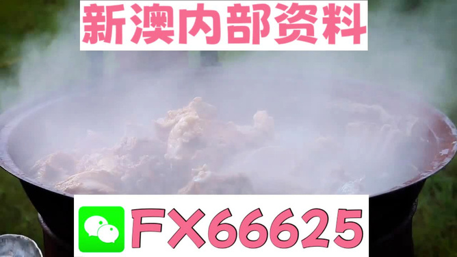 新澳全年免费资料大全，探索与利用的资源宝库，新澳全年免费资料大全，资源宝库探索与利用