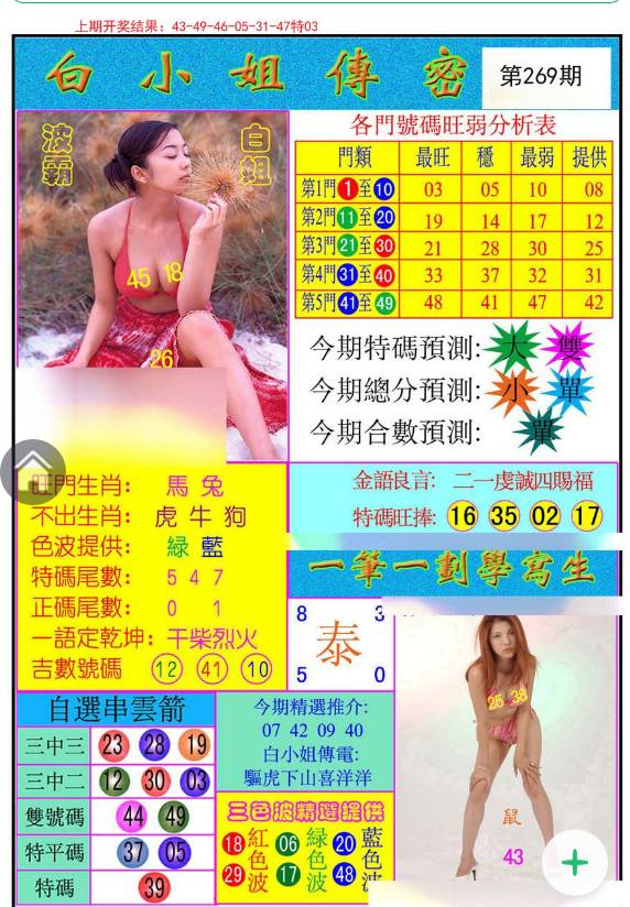 王中王白小姐四肖选一尚，探索神秘预测背后的故事，王中王白小姐四肖选一尚，揭秘神秘预测背后的传奇故事