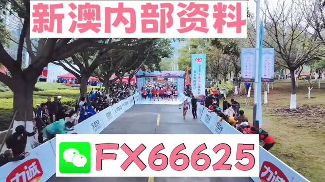 澳门挂牌网，探索与体验，澳门挂牌网，探索与体验之旅