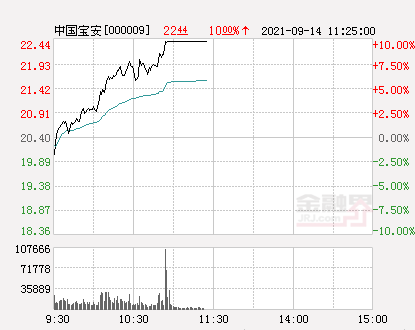 中国宝安最新消息全面解析，中国宝安最新消息全面解读
