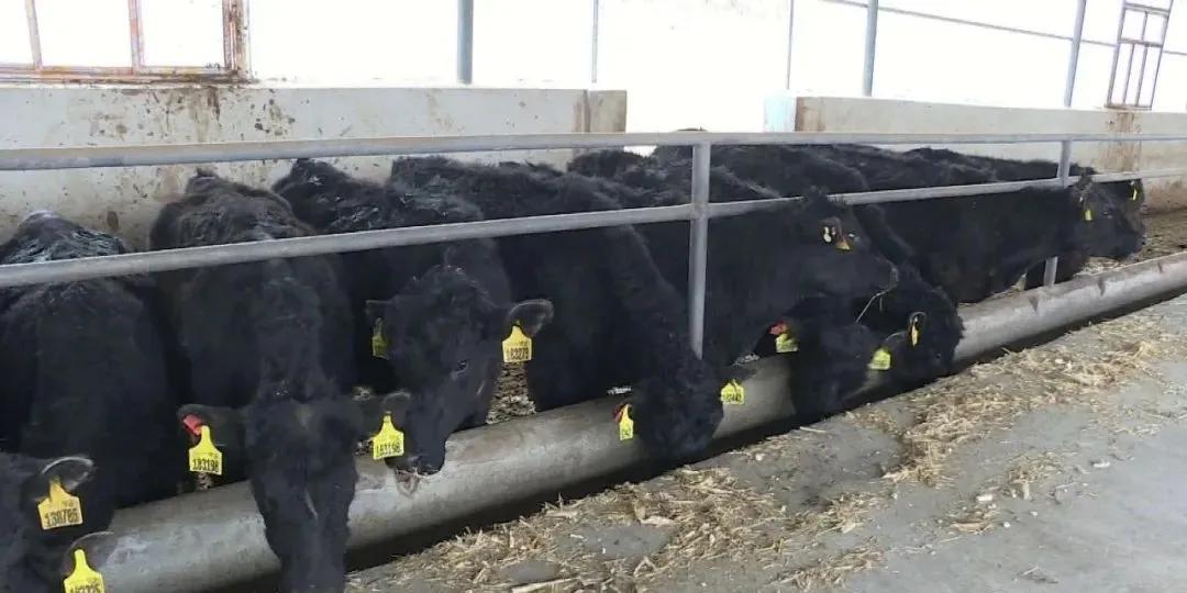 白银区最近新闻大事概述，白银区最新新闻大事概览