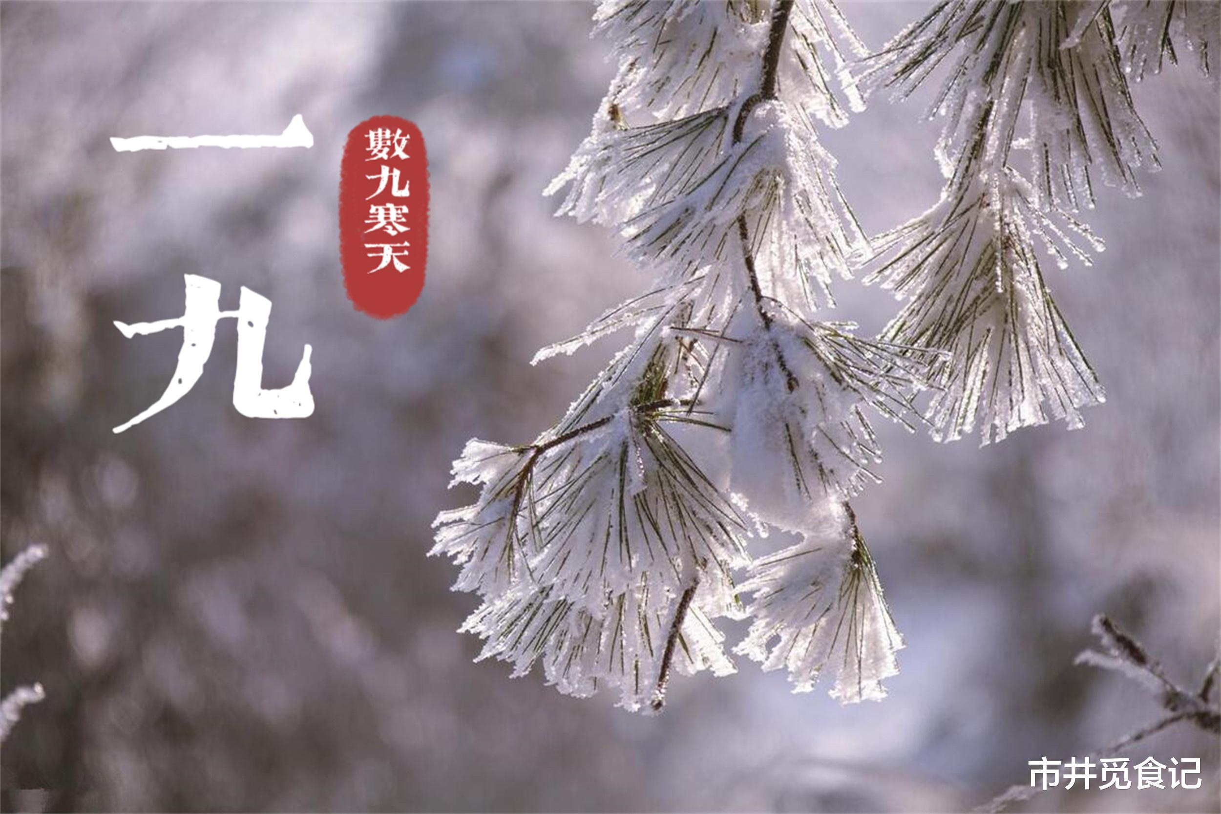 今日几九天，时光流转间的感悟，时光流转间的感悟，今日几九天
