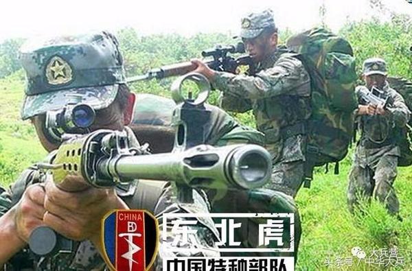 中国几大军区特种部队，力量与荣耀的象征，中国几大军区特种部队，力量与荣耀的典范