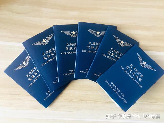 歼-10飞行证，中国空军的骄傲与力量象征，歼-10飞行证，中国空军力量的骄傲与象征