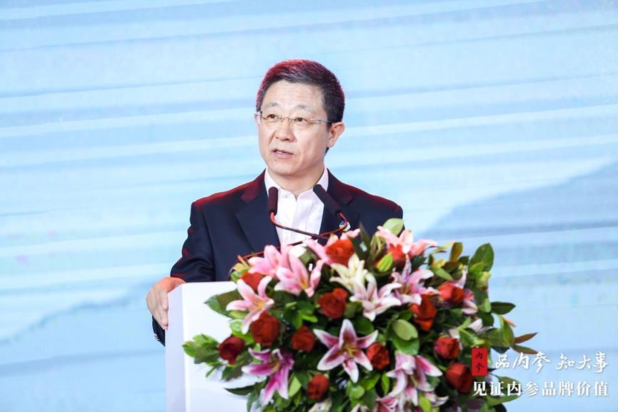 中华网掲幕内参，深度解读与探索，中华网深度解读与探索幕后资讯