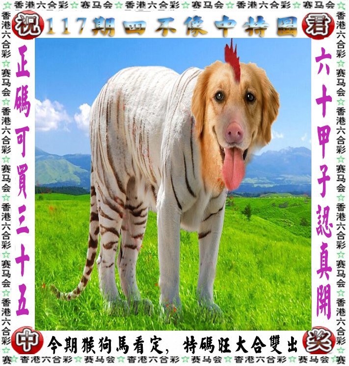 正版王中王四不像一尚肖，探索与解读，正版王中王四不像一尚肖，深度探索与解读