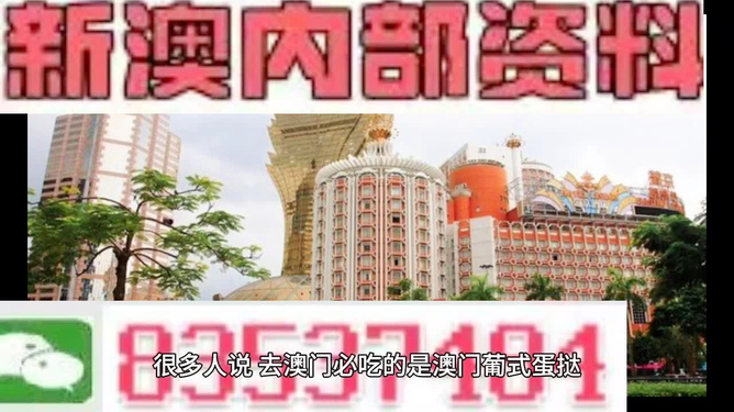 新澳门内部免费资料精准大全，探索与解读，新澳门内部免费资料精准探索与深度解读