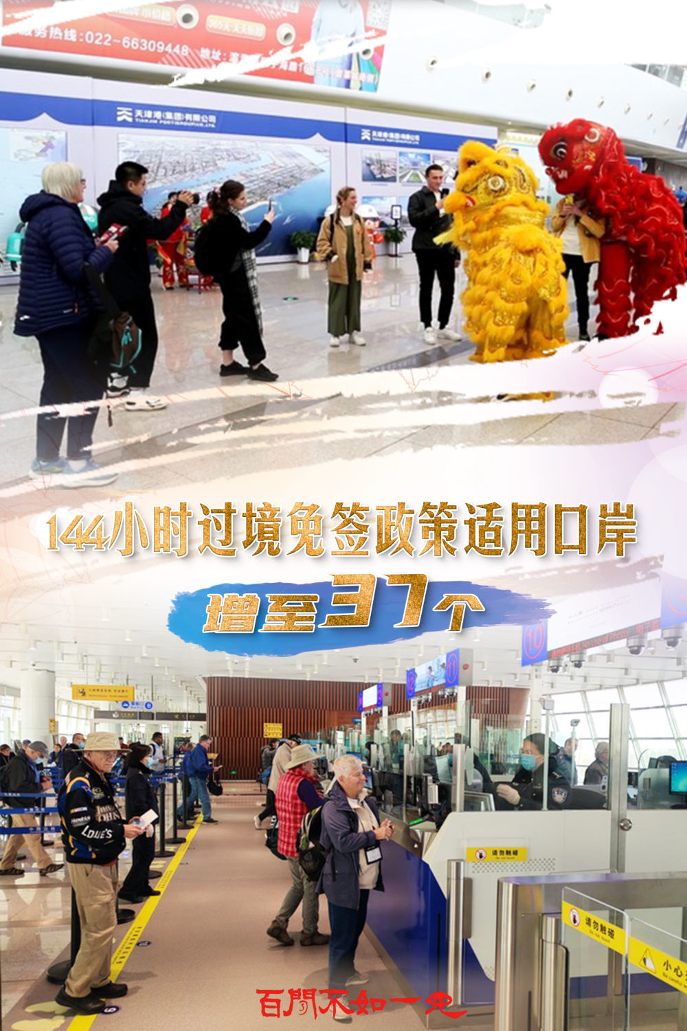 王中王一肖一特一中的卓越表现与评价，王中王一肖一特一中的杰出表现及其评价