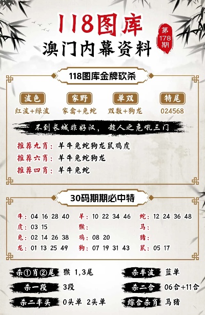 澳门正版资料的重要性及其价值，澳门正版资料的重要性与价值解析
