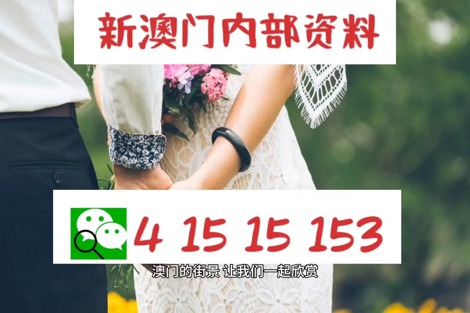 澳门正版资料大全资料，历史、文化、地理与经济概述，澳门历史、文化、地理与经济概览，正版资料大全