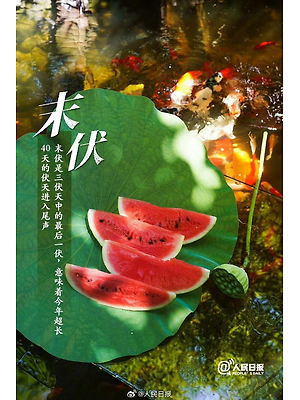 今天末伏来了——关于末伏的种种，今日末伏来临——末伏详解
