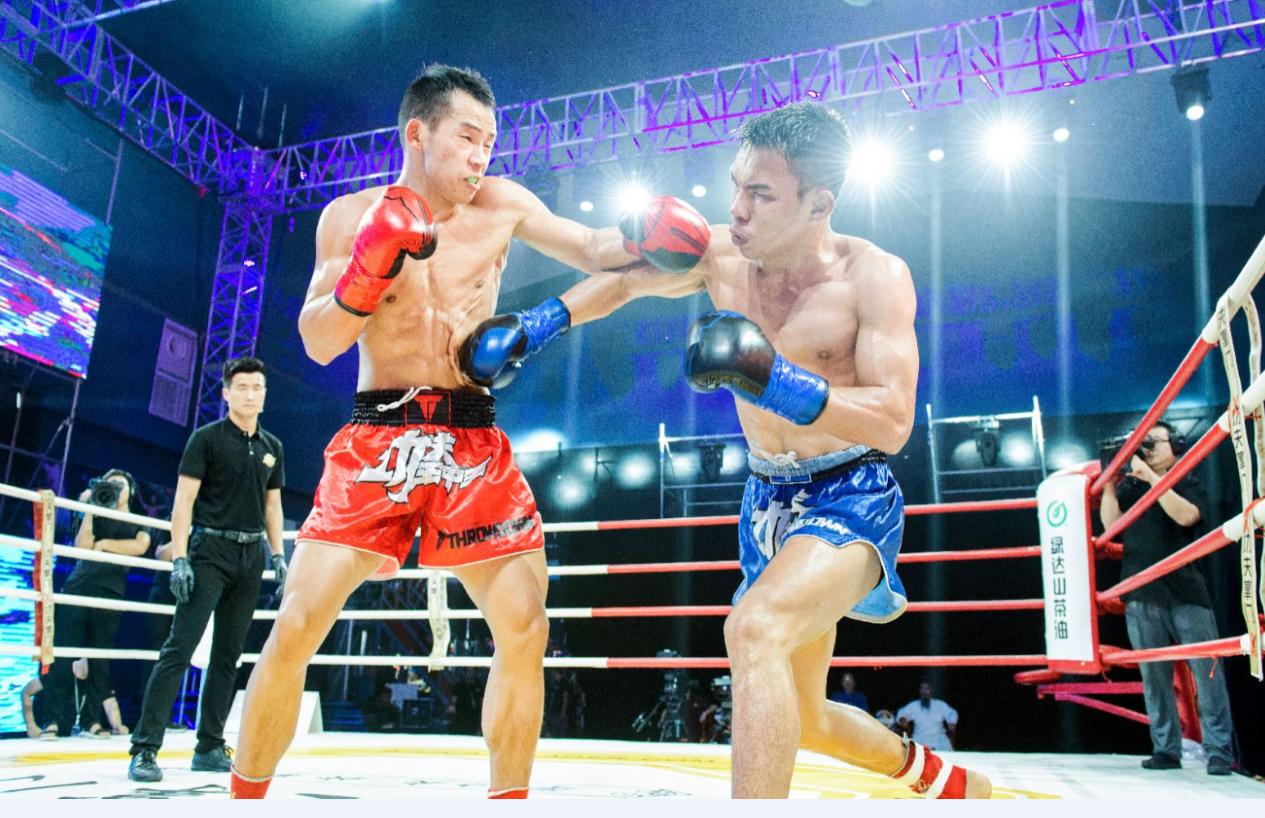 王中王欲钱诗猜一肖网站——探寻生肖文化的魅力与智慧，王中王欲钱诗猜一肖网站，探寻生肖文化魅力与智慧之旅