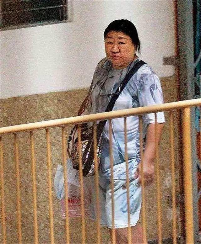 澳门今期的四不像，探索与解析，澳门今期四不像现象，深度探索与解析