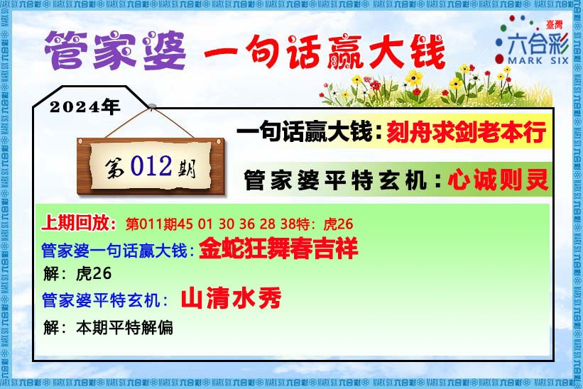 管家婆王中王平特一肖，传奇般的人物与独特的智慧，管家婆王中王传奇，独特智慧与非凡人生