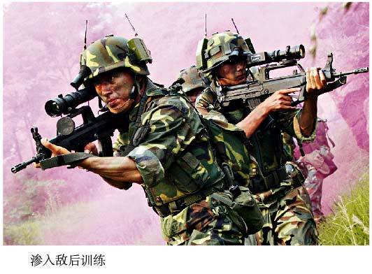 中国特种兵名字，荣耀与担当的象征，中国特种兵，荣耀之名，担当之象征